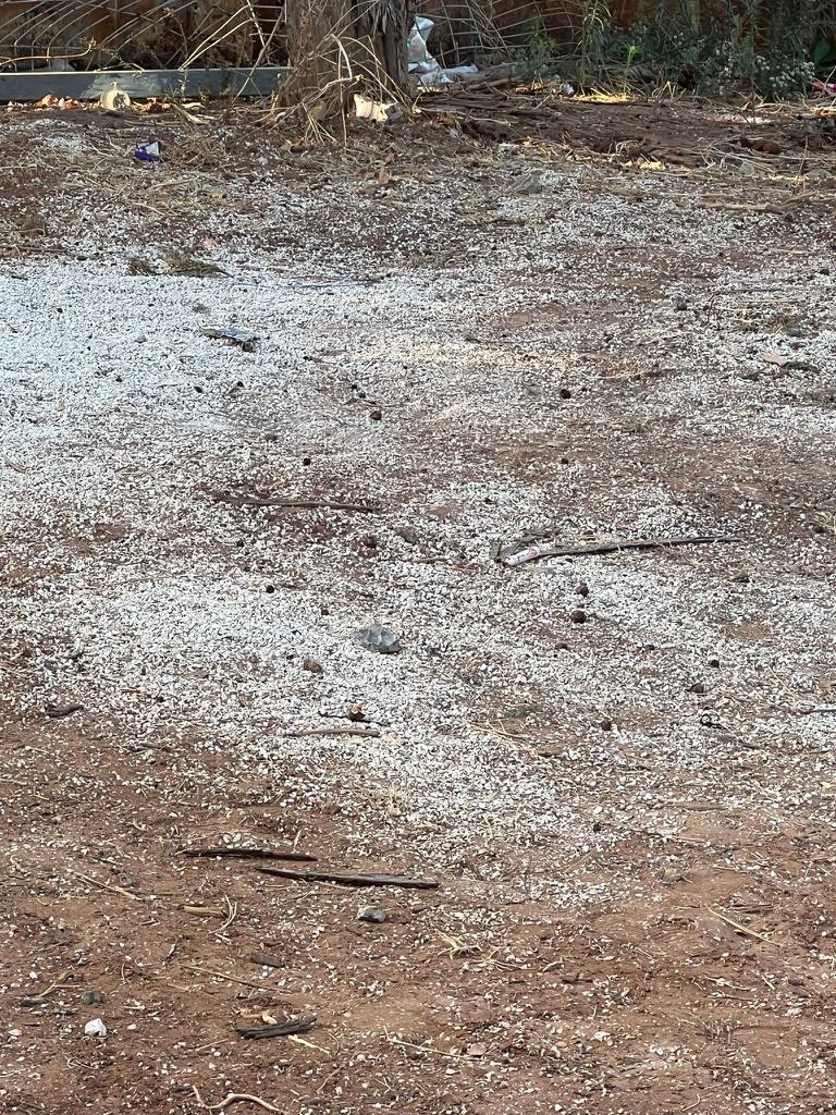 WhatsApp Image 2023-02-25 at 10.49.03 AM.jpeg